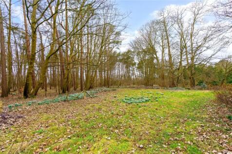 Woodland