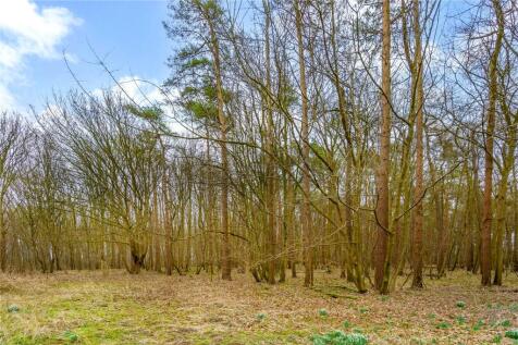 Woodland