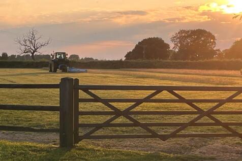 Field