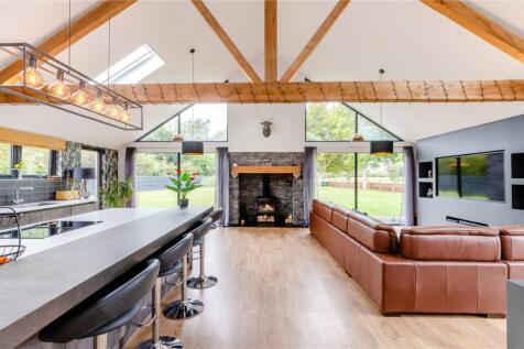 Kitchen/Living Area