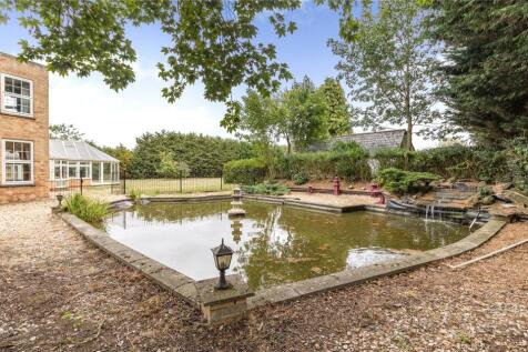 Pond