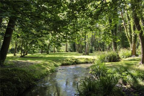 Woodland and Stream