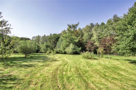 Orchard