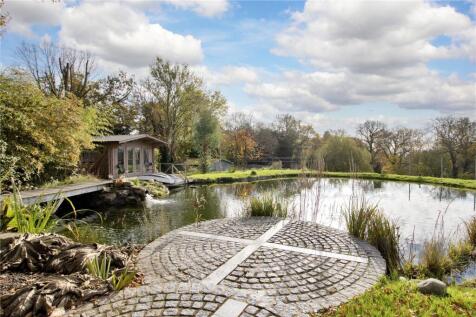 Pond