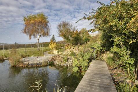 Pond