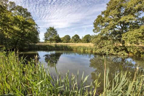Pond