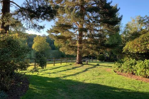 Grounds