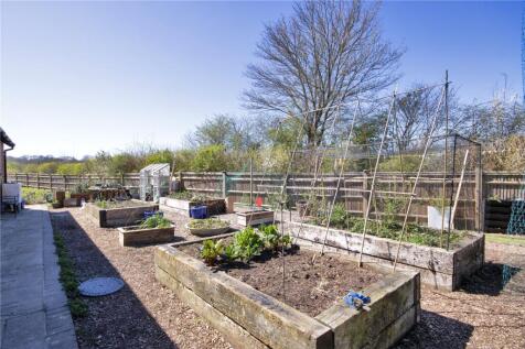 Vegetable Garden