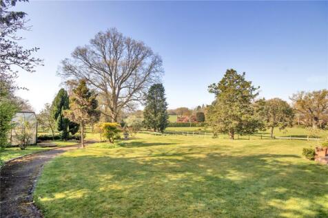 View Over Garden