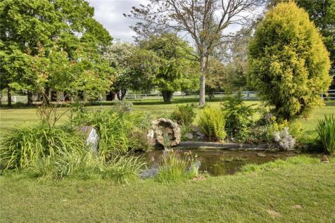 Pond
