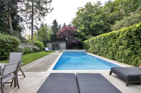 Garden and Pool