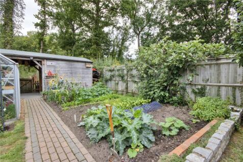 Vegetable Patch