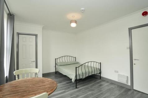 Open Plan Living/Bedroom