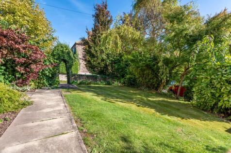 533079 (10) (Large).jpg