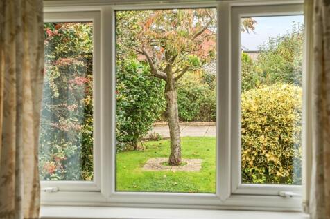 LIFRSTYLE OUT OF WINDOW.jpg