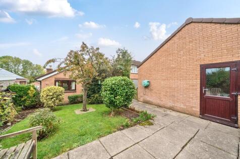 garden and patio.jpg