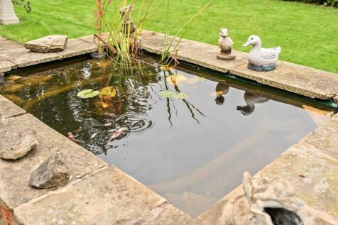lifestyle pond.jpg
