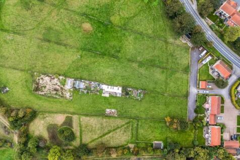 paddock birdseye.jpg