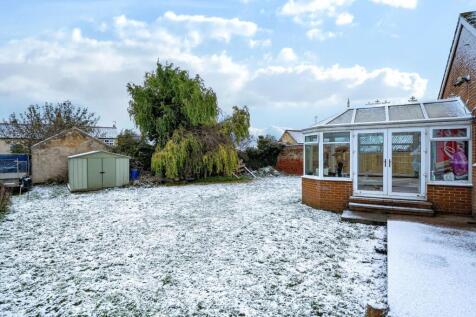 rear garden (snow).jpg