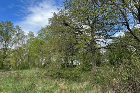 IMG_1992 Web