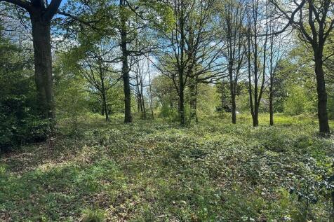 IMG_2012Web
