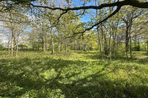 IMG_2039 Web