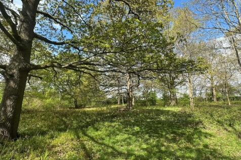 IMG_2054 Web