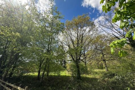 IMG_2082 Web
