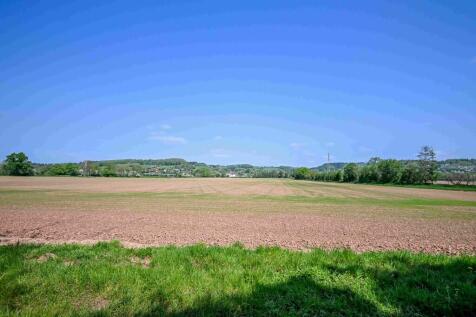 DSC_9855 Web