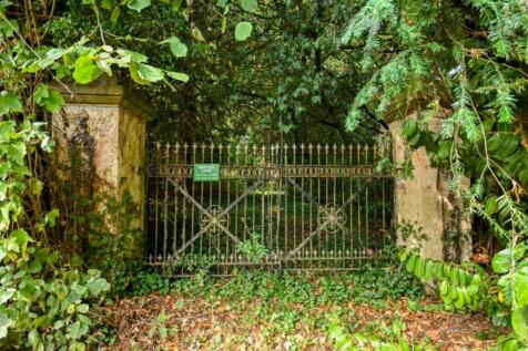 DSC_8538-2 (Small...