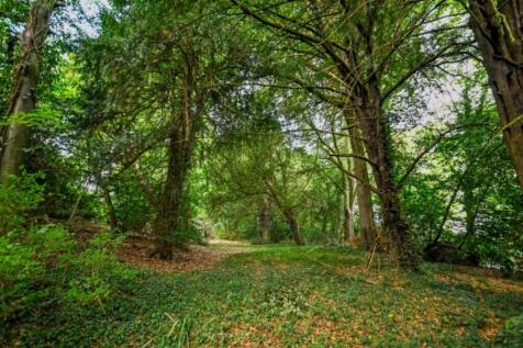 DSC_8489-2 (Small...