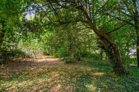 DSC_8585-2 (Small...