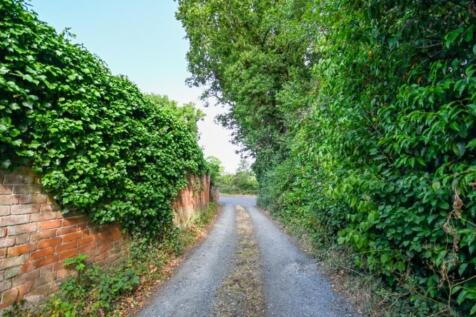 DSC_8693-2 (Small...