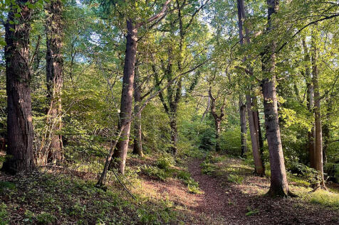 Private_woodland_...