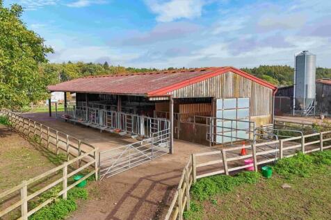 Covered yard/Stab...