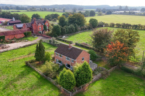 Rear view of Cott...