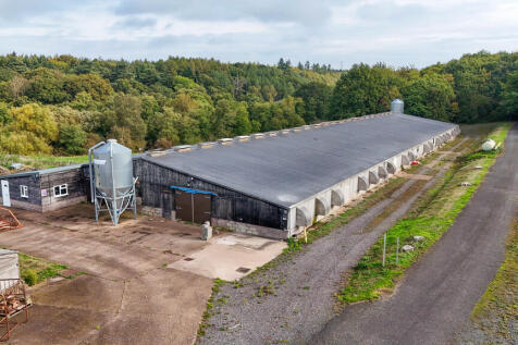 Lot 3 - Photo 21 ...