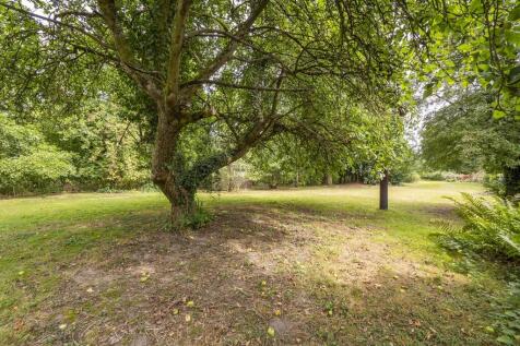 Property Image 25