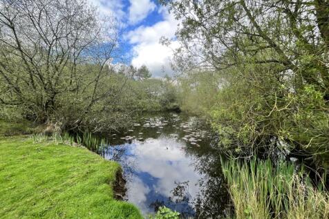 pond2