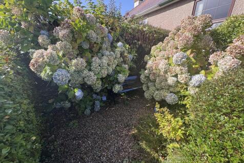 image00005.jpeg