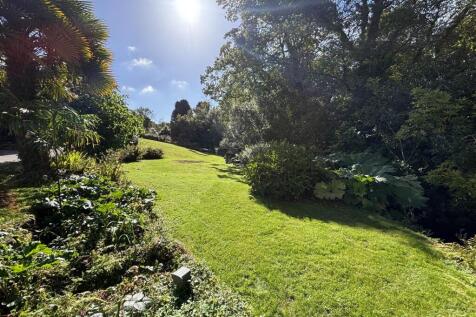 Front garden.jpeg