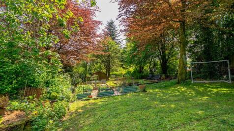 Property Image 43
