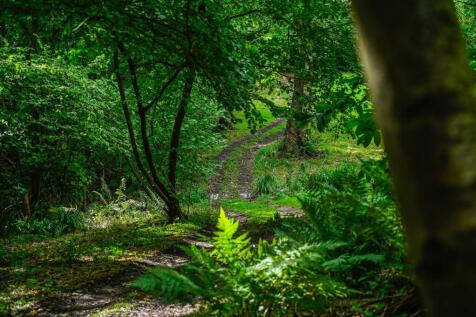 Property Image 32