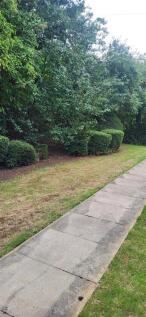 Garden 2.jpg
