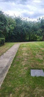 Garden.jpg