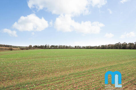 field views 