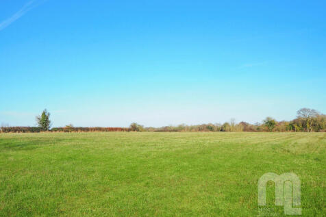 Field View to Fro...