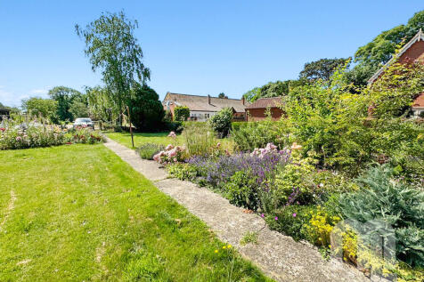 IMG_387258_19_lar...