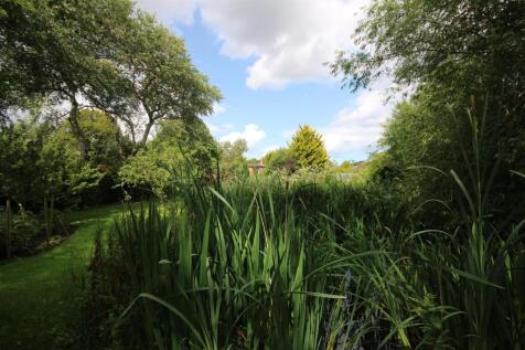 Pond
