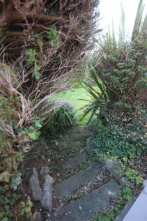 Side Garden
